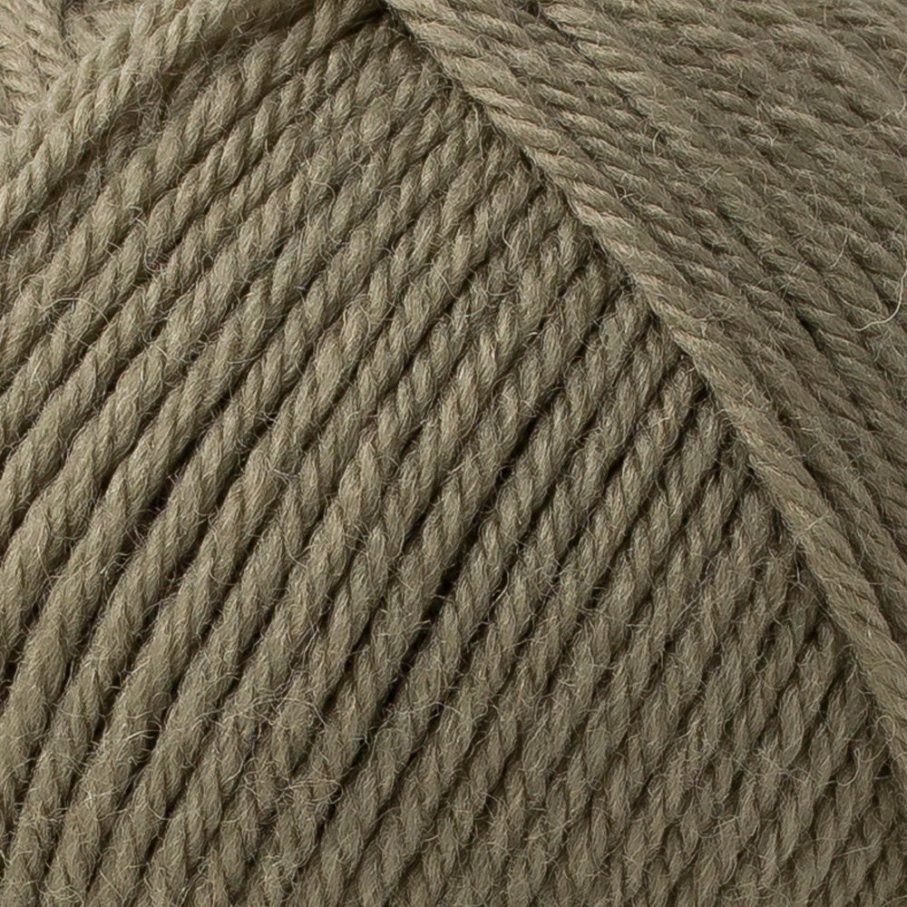 Rowan Pure Wool Superwash Worsted Yarn, Fern - 00193