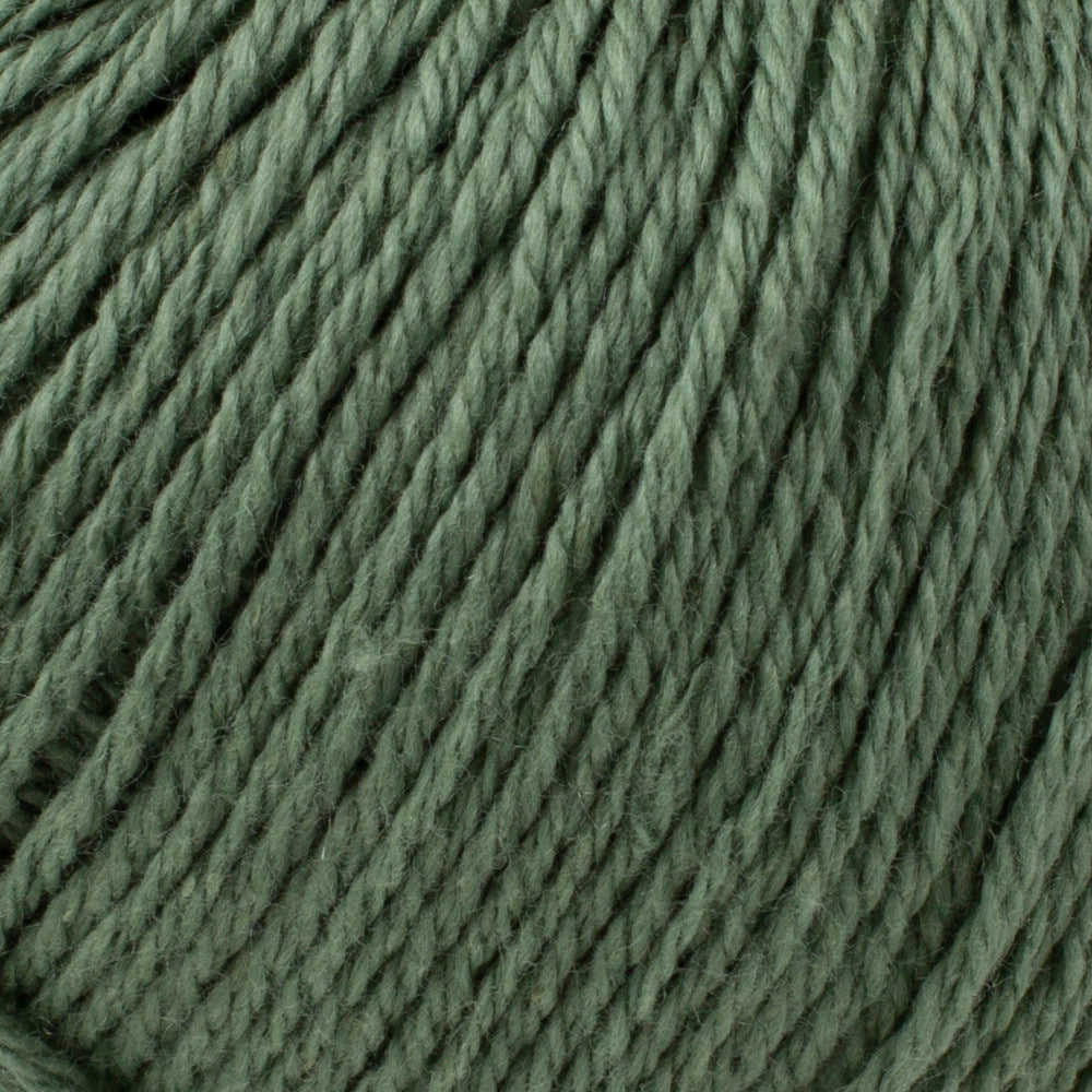 Rowan Cotton Cashmere Yarn, Forest Hill - 229