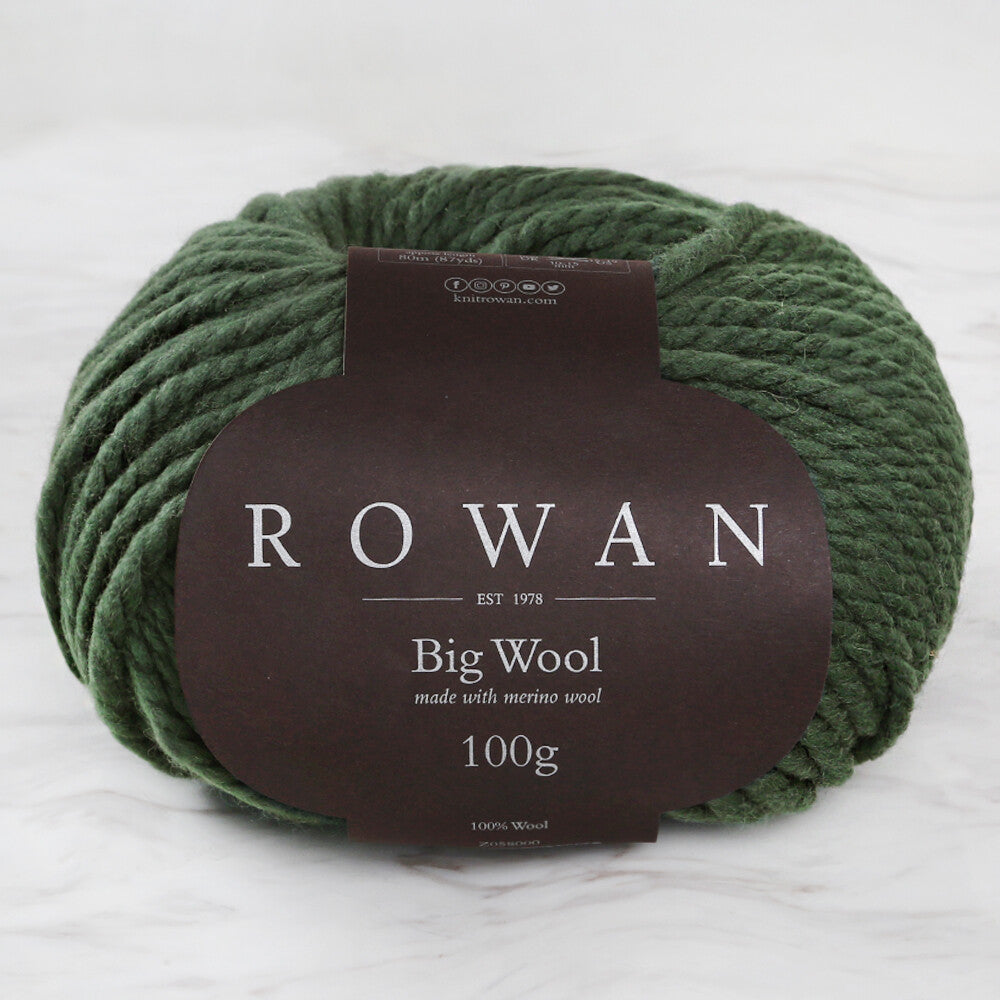 Rowan big 2024 wool cactus