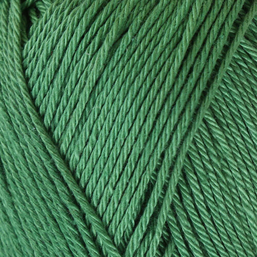 Schachenmayr Catania 50g Yarn, Green - 9801210-00412