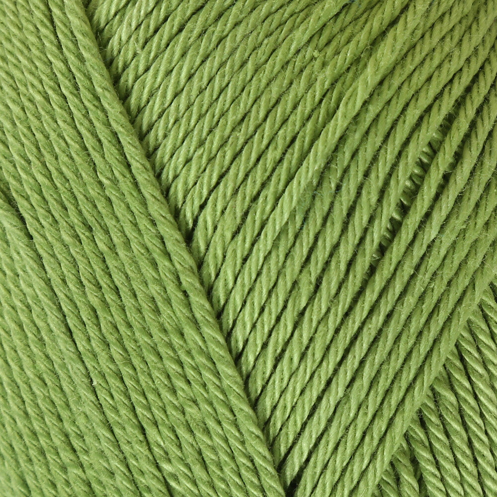 Schachenmayr Catania 50gr Yarn, Green - 00205