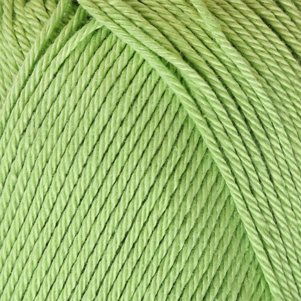 Schachenmayr Catania 50gr Yarn, Green - 00418