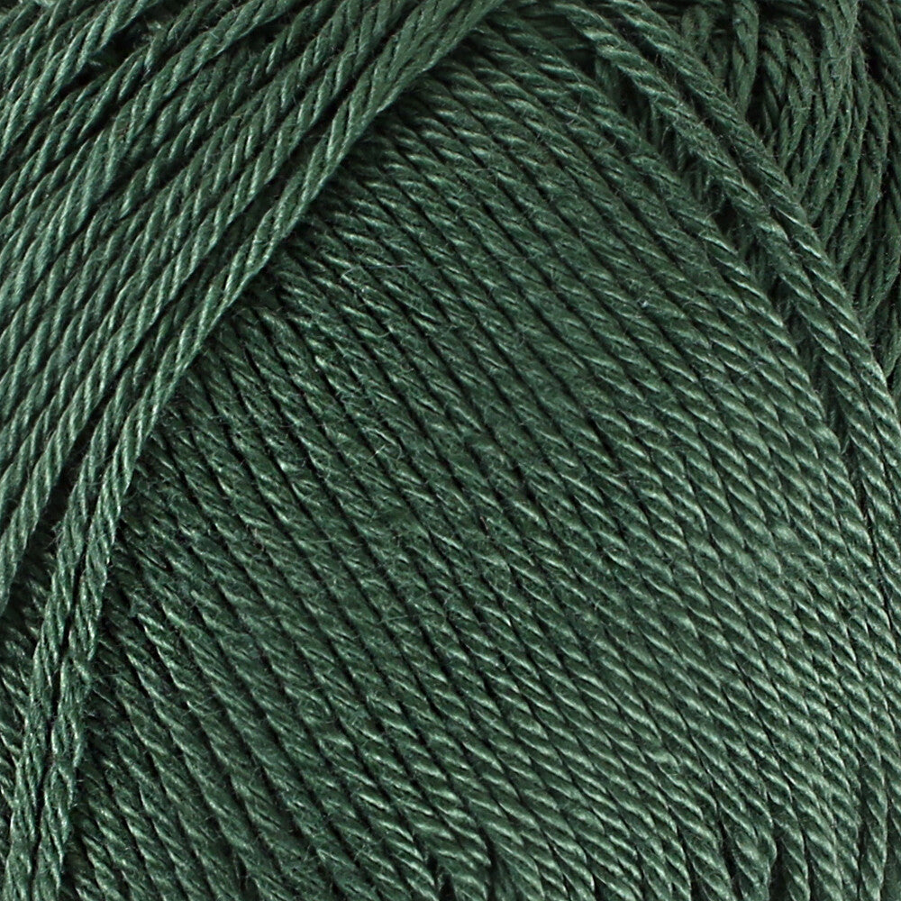 Schachenmayr Catania 50gr Yarn, Green - 00419