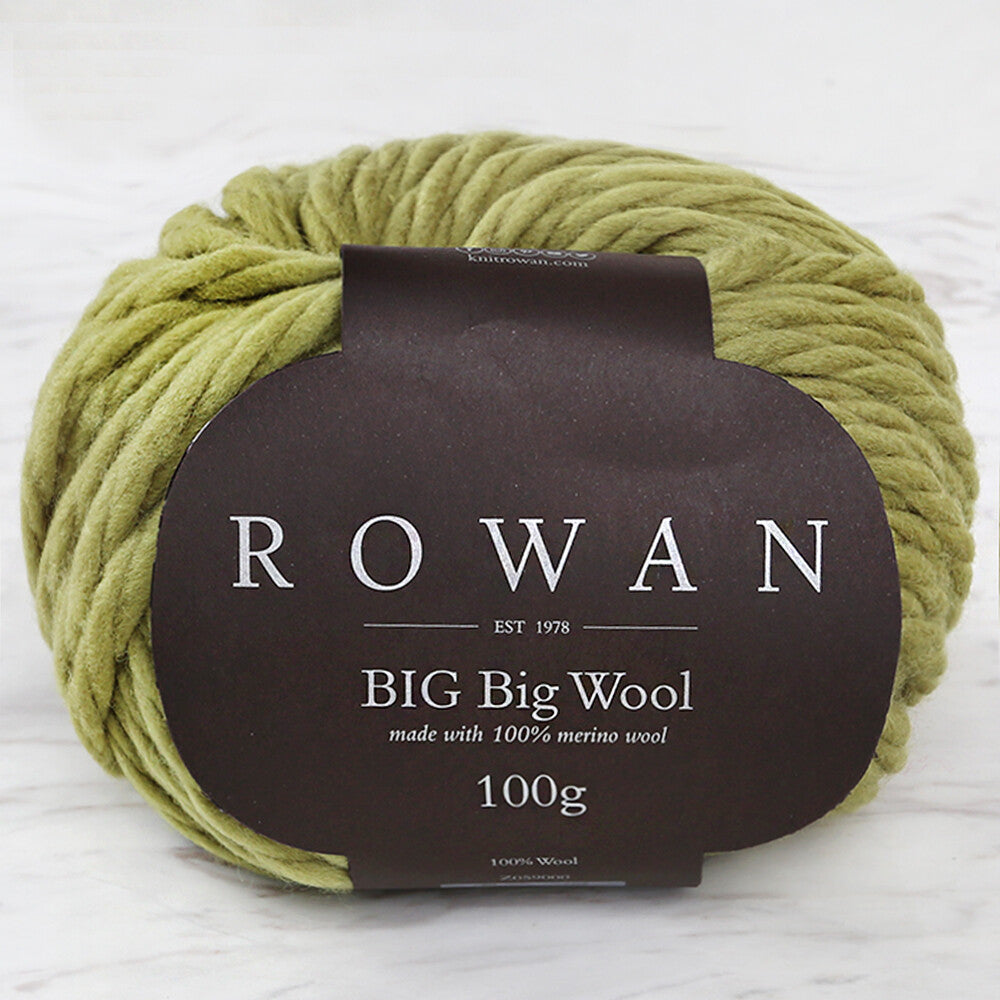 Rowan Big Big Wool Yarn, Green - 00215