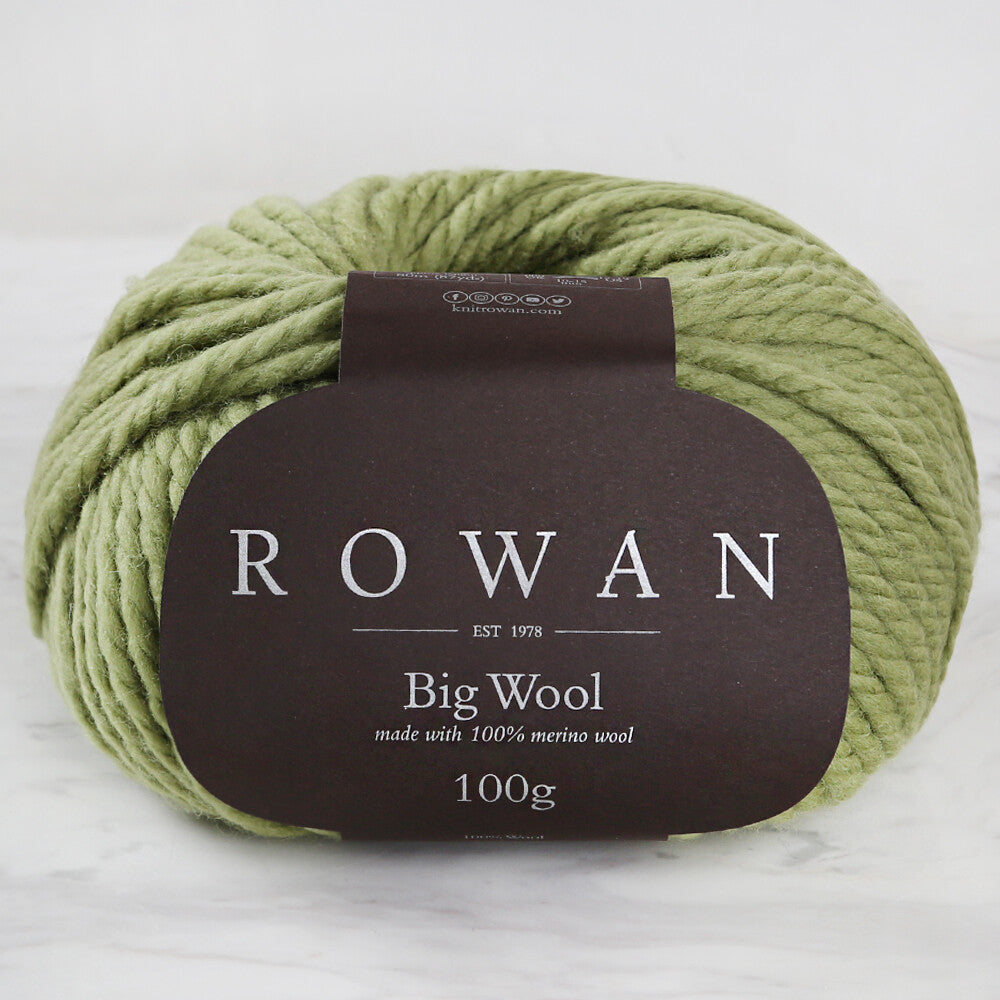 Rowan Big Wool Yarn, Green - 00069