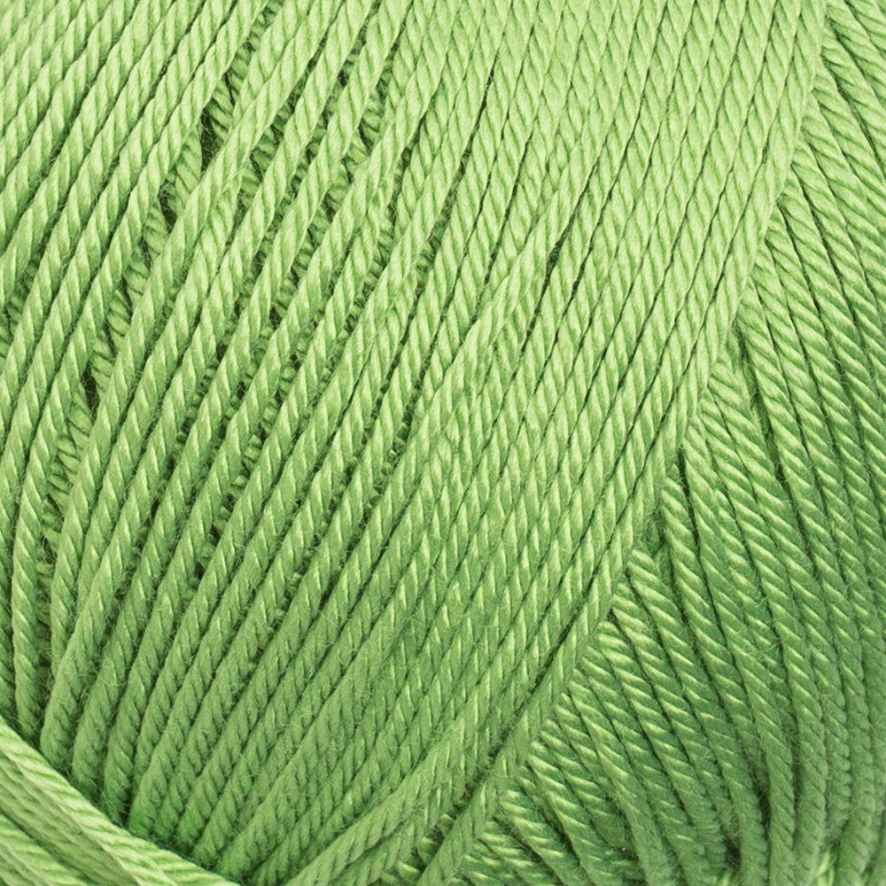 La Mia Silky Yarn, Green - L025