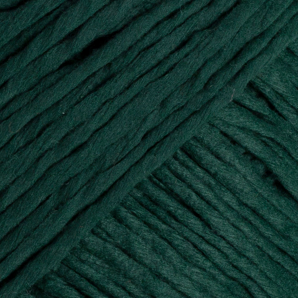 La Mia Paper Soft Yarn, Green - L128