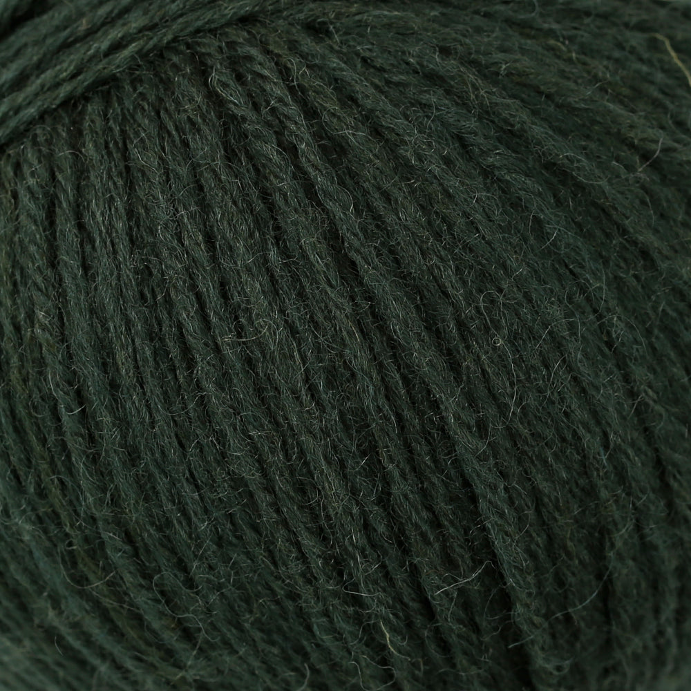 La Mia Merino Yarn, Dark Green - L801