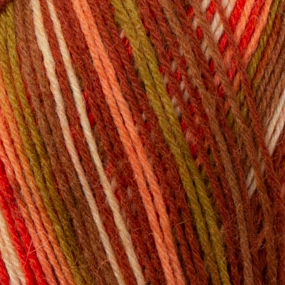 Himalaya Socks Yarn, Variegated   - 140-03