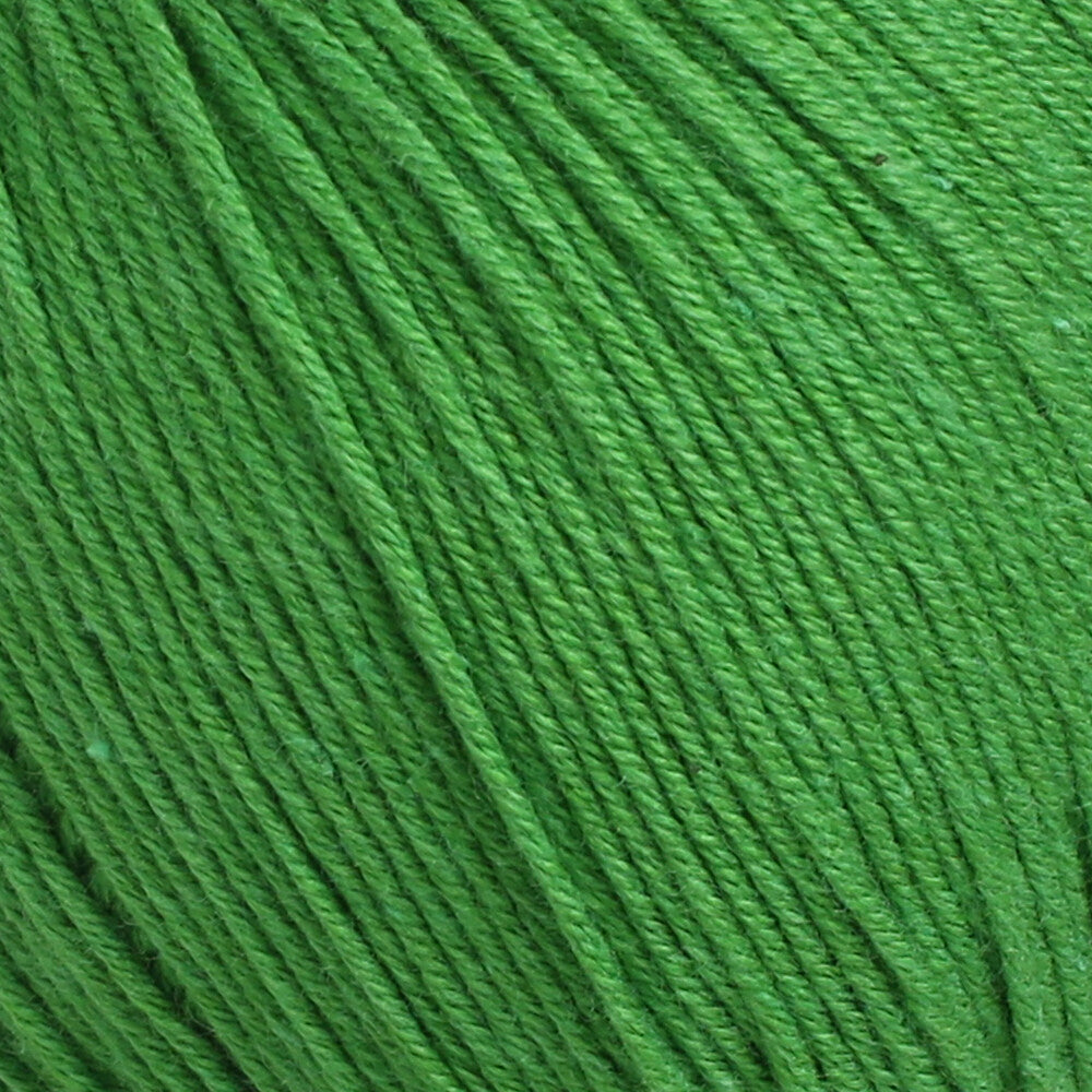 Himalaya Himagurumi 50 Gr Yarn, Green - 30143